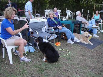 Product: Hanging out and having fun at an Agility Fun Run. - Lucky Dog Sports Club in Jupiter, FL Pet Care Services