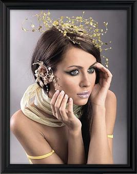 Product: Fancy Frame - M & T Displays in Moonachie, NJ Shopping & Shopping Services
