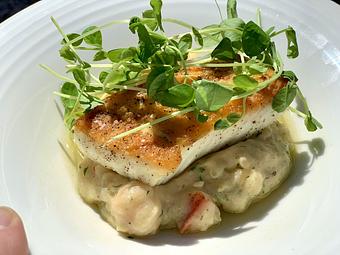 Product - Mac's Shack Wellfleet in Wellfleet, MA American Restaurants