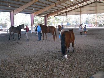 Product - MacNair's Country Acres in Raleigh, NC Sports & Recreational Services