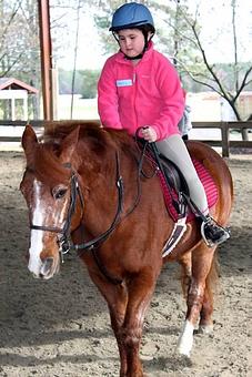 Product - MacNair's Country Acres in Raleigh, NC Sports & Recreational Services