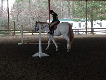Product - MacNair's Country Acres in Raleigh, NC Sports & Recreational Services