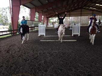 Product - MacNair's Country Acres in Raleigh, NC Sports & Recreational Services