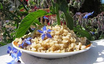 Product - Macro-Mediterranean Healthy Meal Delivery Service in Medford, MA Mediterranean Restaurants