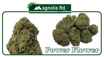 Product - Magnolia Road Cannabis Co.- Boulder Rec in Boulder, CO Dispensaries
