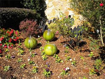 Product - Malakoff Nursery in Cedar Creek Lake - Malakoff, TX Nurseries & Garden Centers