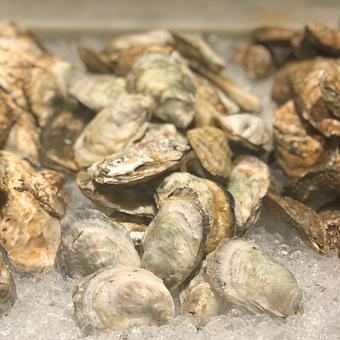 Product - Mama's On The Half Shell in Canton - Baltimore, MD Seafood Restaurants