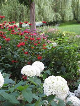 Product: Horticulture & Garden Services including Perennial & Seasonal Color Planting Services - Maple Crest Landscape in Medina, MN Candy & Confectionery