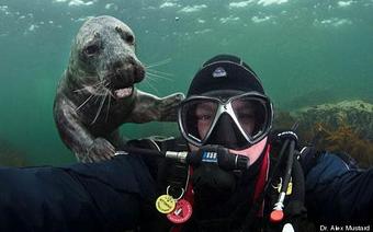 Product - Marissa Dive Charters in San Diego, CA Sports & Recreational Services