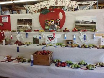 Product - McDougal Orchards in Springvale, ME Business Services