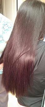 Product: Asian, thick, long hair lifted once to a level 4. Purple applied as a color gloss. - Meadow Street Styles in Hadley, MA Restaurants/Food & Dining