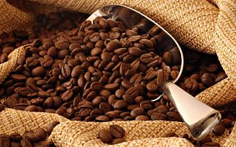 Product - Meg A Latte in Williston, ND Coffee, Espresso & Tea House Restaurants