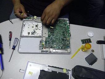 Product - Megabite in Fernandina Beach, FL Business Services