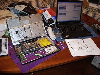 Product - Megabite in Fernandina Beach, FL Business Services