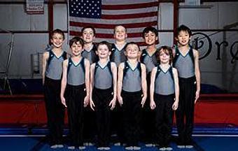 Product: Metro South Gymnastics Academy Junior Olympic (JO) Team - Metro South Gymnastics Academy in Canton, MA Sports & Recreational Services