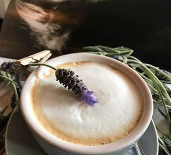 Product: Lavender Latte - Metropolitan - A Speakeasy in Town Square Village - Amarillo, TX American Restaurants