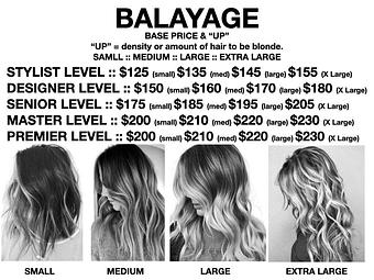 Product: Select the Balayage service by Small, Medium, Large or X Large - Mikel’s The Paul Mitchell Experience in Tampa, FL Day Spas