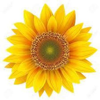 Product - Miracullum Spa in Downtown, Broadway Plaza - Walnut Creek, CA Day Spas