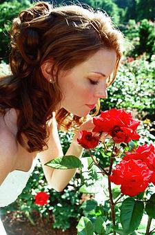 Product - MistyBay Photography in Las Vegas, NV Misc Photographers