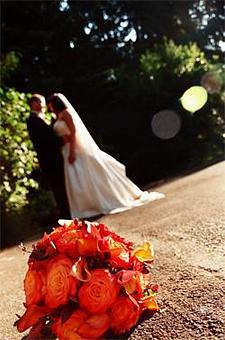 Product - MistyBay Photography in Las Vegas, NV Misc Photographers