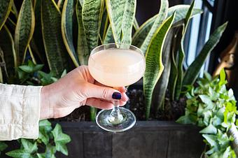 Product - Mon Ami Gabi in Lincoln Park West - Chicago, IL French Restaurants