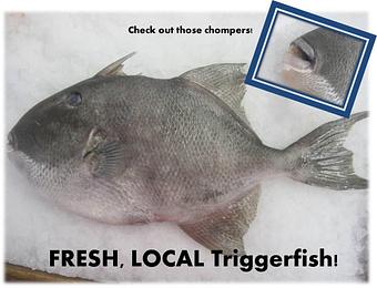 Product - Mt. Pleasant Seafood in Mount Pleasant, SC Seafood Restaurants