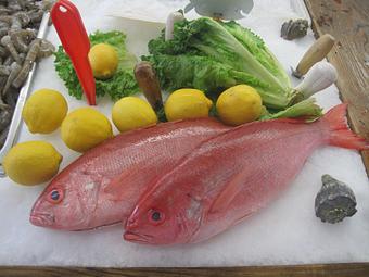 Product - Mt. Pleasant Seafood in Mount Pleasant, SC Seafood Restaurants