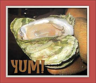 Product - Mt. Pleasant Seafood in Mount Pleasant, SC Seafood Restaurants