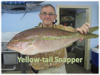 Product - Mt. Pleasant Seafood in Mount Pleasant, SC Seafood Restaurants