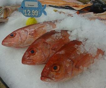 Product - Mt. Pleasant Seafood in Mount Pleasant, SC Seafood Restaurants