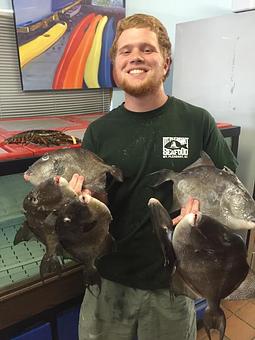 Product - Mt. Pleasant Seafood in Mount Pleasant, SC Seafood Restaurants