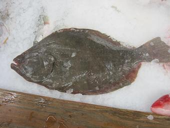 Product - Mt. Pleasant Seafood in Mount Pleasant, SC Seafood Restaurants