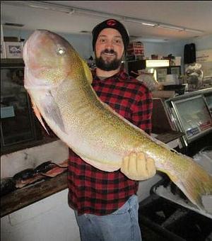 Product - Mt. Pleasant Seafood in Mount Pleasant, SC Seafood Restaurants