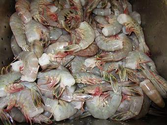 Product - Mt. Pleasant Seafood in Mount Pleasant, SC Seafood Restaurants