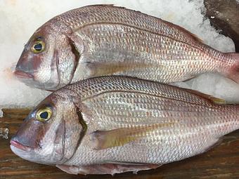 Product - Mt. Pleasant Seafood in Mount Pleasant, SC Seafood Restaurants