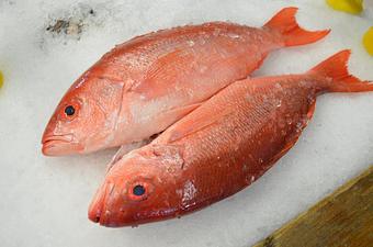 Product - Mt. Pleasant Seafood in Mount Pleasant, SC Seafood Restaurants