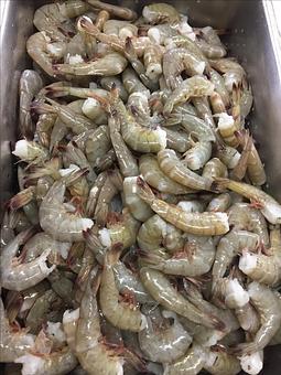 Product - Mt. Pleasant Seafood in Mount Pleasant, SC Seafood Restaurants