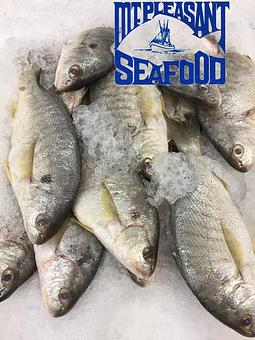 Product - Mt. Pleasant Seafood in Mount Pleasant, SC Seafood Restaurants