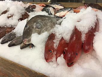 Product - Mt. Pleasant Seafood in Mount Pleasant, SC Seafood Restaurants