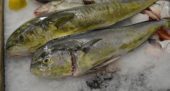 Product - Mt. Pleasant Seafood in Mount Pleasant, SC Seafood Restaurants