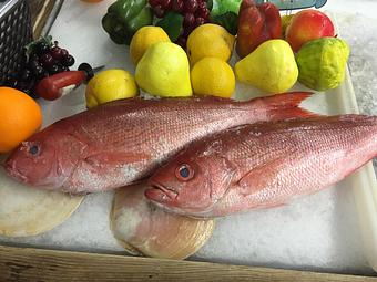 Product - Mt. Pleasant Seafood in Mount Pleasant, SC Seafood Restaurants