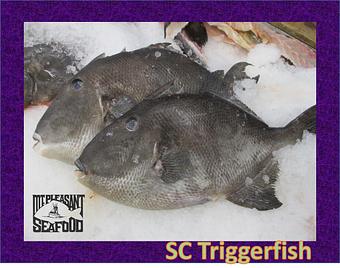 Product - Mt. Pleasant Seafood in Mount Pleasant, SC Seafood Restaurants