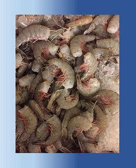 Product - Mt. Pleasant Seafood in Mount Pleasant, SC Seafood Restaurants