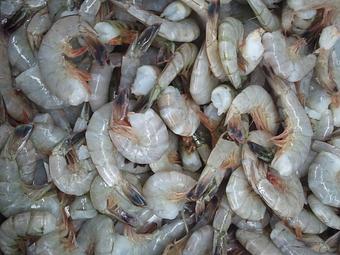 Product - Mt. Pleasant Seafood in Mount Pleasant, SC Seafood Restaurants