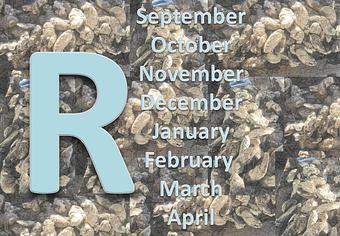 Product - Mt. Pleasant Seafood in Mount Pleasant, SC Seafood Restaurants