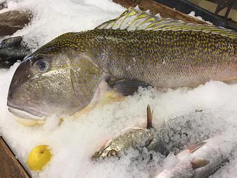 Product - Mt. Pleasant Seafood in Mount Pleasant, SC Seafood Restaurants