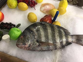 Product - Mt. Pleasant Seafood in Mount Pleasant, SC Seafood Restaurants