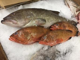 Product - Mt. Pleasant Seafood in Mount Pleasant, SC Seafood Restaurants