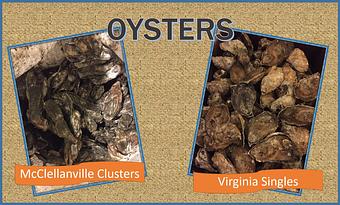 Product - Mt. Pleasant Seafood in Mount Pleasant, SC Seafood Restaurants