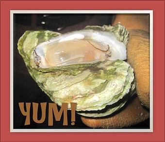 Product - Mt. Pleasant Seafood in Mount Pleasant, SC Seafood Restaurants